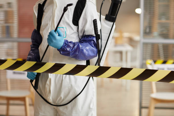 Professional Hoarding Cleanup technician working in Utica, NY